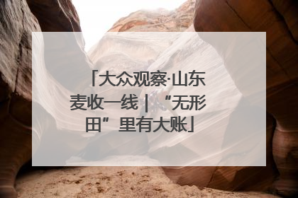 大众观察·山东麦收一线｜“无形田”里有大账