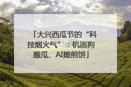 大兴西瓜节的“科技烟火气”：机器狗搬瓜、AI摊煎饼