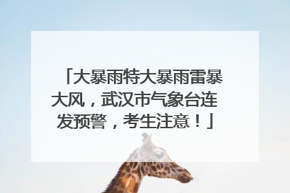 大暴雨特大暴雨雷暴大风，武汉市气象台连发预警，考生注意！