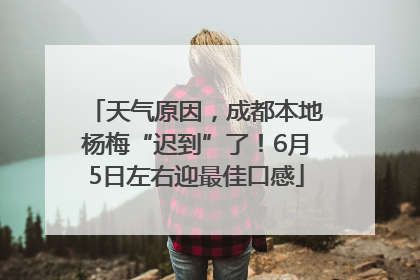 天气原因，成都本地杨梅“迟到”了！6月5日左右迎最佳口感