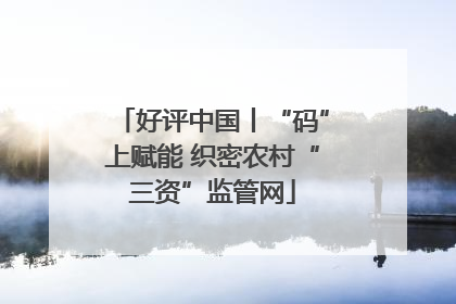 好评中国丨“码”上赋能 织密农村“三资”监管网