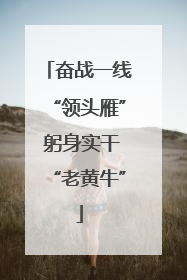 奋战一线“领头雁” 躬身实干“老黄牛”
