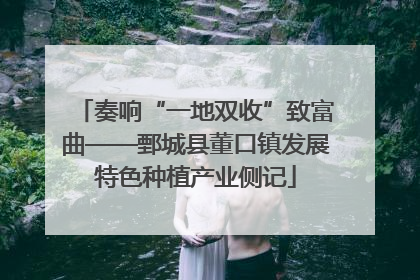 奏响“一地双收”致富曲——鄄城县董口镇发展特色种植产业侧记