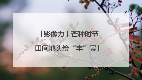影像力丨芒种时节 田间地头绘“丰”景