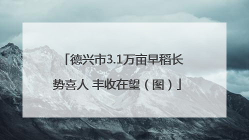 德兴市3.1万亩早稻长势喜人 丰收在望（图）