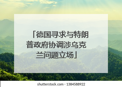 德国寻求与特朗普政府协调涉乌克兰问题立场