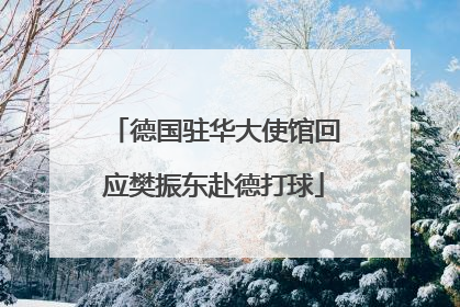 德国驻华大使馆回应樊振东赴德打球