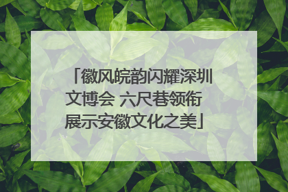 徽风皖韵闪耀深圳文博会 六尺巷领衔展示安徽文化之美