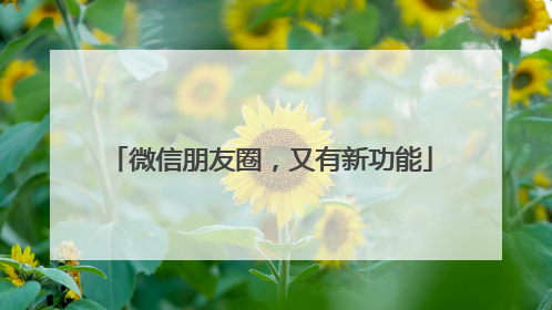 微信朋友圈，又有新功能