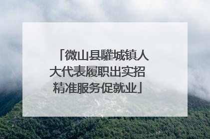 微山县驩城镇人大代表履职出实招精准服务促就业