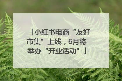 小红书电商“友好市集”上线，6月将举办“开业活动”