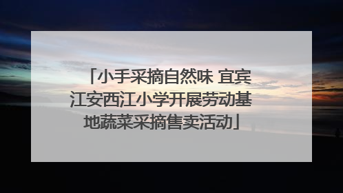 小手采摘自然味 宜宾江安西江小学开展劳动基地蔬菜采摘售卖活动