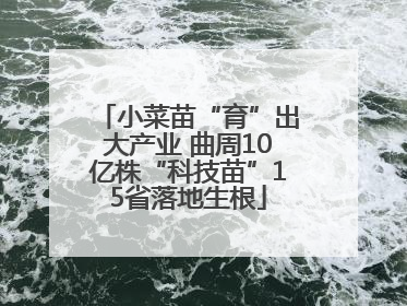 小菜苗“育”出大产业 曲周10亿株“科技苗”15省落地生根