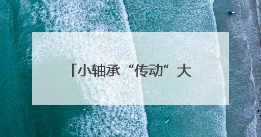 小轴承“传动”大动能 浙江新昌“拼”出山区发展新路