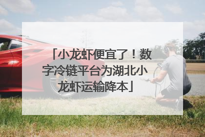 小龙虾便宜了！数字冷链平台为湖北小龙虾运输降本
