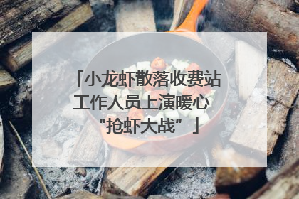 小龙虾散落收费站 工作人员上演暖心“抢虾大战”