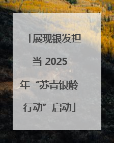 展现银发担当 2025年“苏青银龄行动”启动