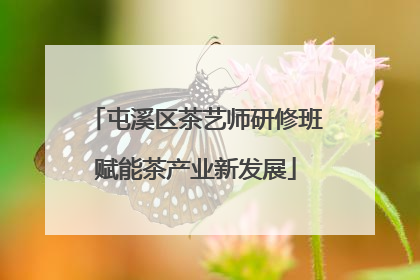 屯溪区茶艺师研修班赋能茶产业新发展