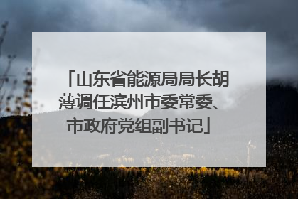 山东省能源局局长胡薄调任滨州市委常委、市政府党组副书记