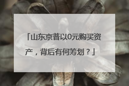 山东京普以0元购买资产，背后有何筹划？