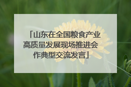 山东在全国粮食产业高质量发展现场推进会作典型交流发言