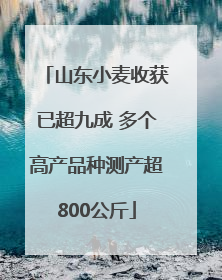 山东小麦收获已超九成 多个高产品种测产超800公斤