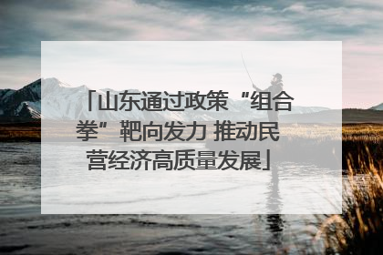 山东通过政策“组合拳”靶向发力 推动民营经济高质量发展