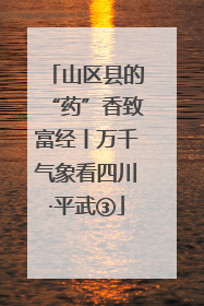 山区县的“药”香致富经丨万千气象看四川·平武③