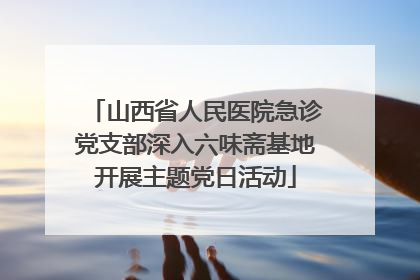 山西省人民医院急诊党支部深入六味斋基地开展主题党日活动