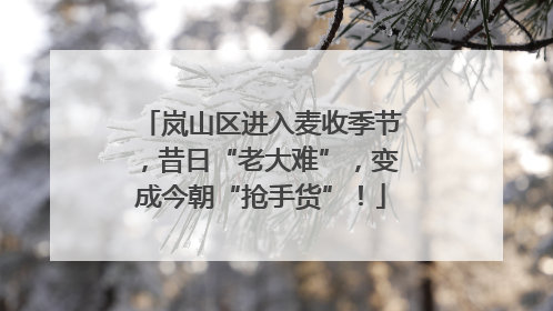 岚山区进入麦收季节，昔日“老大难”，变成今朝“抢手货”！
