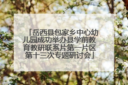 岳西县包家乡中心幼儿园成功举办县学前教育教研联系片第一片区第十三次专题研讨会