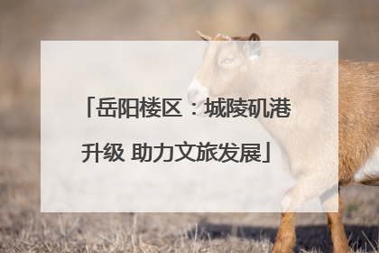 岳阳楼区：城陵矶港升级 助力文旅发展