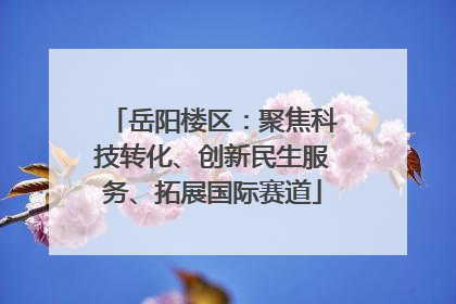 岳阳楼区：聚焦科技转化、创新民生服务、拓展国际赛道