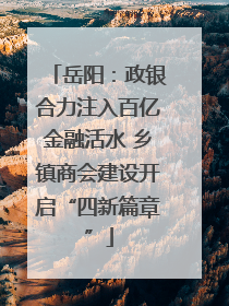 岳阳：政银合力注入百亿金融活水 乡镇商会建设开启“四新篇章”