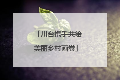 川台携手共绘美丽乡村画卷