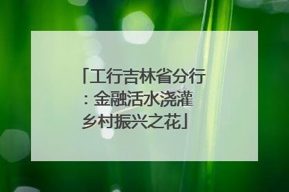 工行吉林省分行：金融活水浇灌 乡村振兴之花