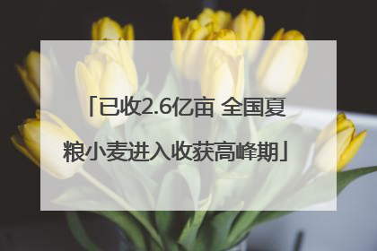 已收2.6亿亩 全国夏粮小麦进入收获高峰期