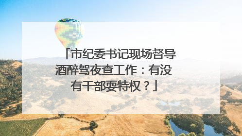市纪委书记现场督导酒醉驾夜查工作：有没有干部耍特权？