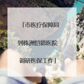 市医疗保障局到株洲恺德医院调研医保工作