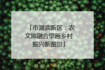 市湖滨新区：农文旅融合擘画乡村振兴新图景