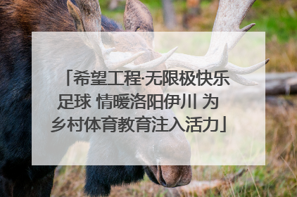 希望工程·无限极快乐足球 情暖洛阳伊川 为乡村体育教育注入活力
