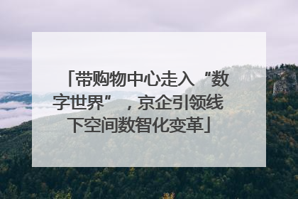 带购物中心走入“数字世界”，京企引领线下空间数智化变革