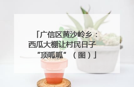 广信区黄沙岭乡：西瓜大棚让村民日子“顶呱呱”（图）