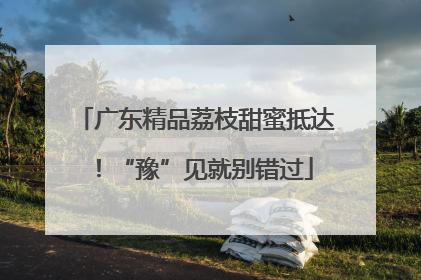 广东精品荔枝甜蜜抵达！“豫”见就别错过