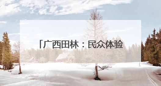 广西田林：民众体验非遗 感受文化魅力