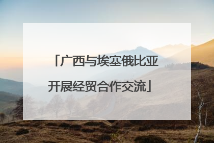 广西与埃塞俄比亚开展经贸合作交流