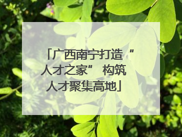 广西南宁打造“人才之家” 构筑人才聚集高地