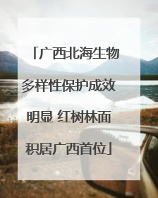 广西北海生物多样性保护成效明显 红树林面积居广西首位