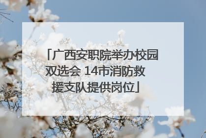 广西安职院举办校园双选会 14市消防救援支队提供岗位