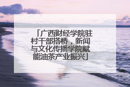 广西财经学院驻村干部搭桥，新闻与文化传播学院赋能油茶产业振兴